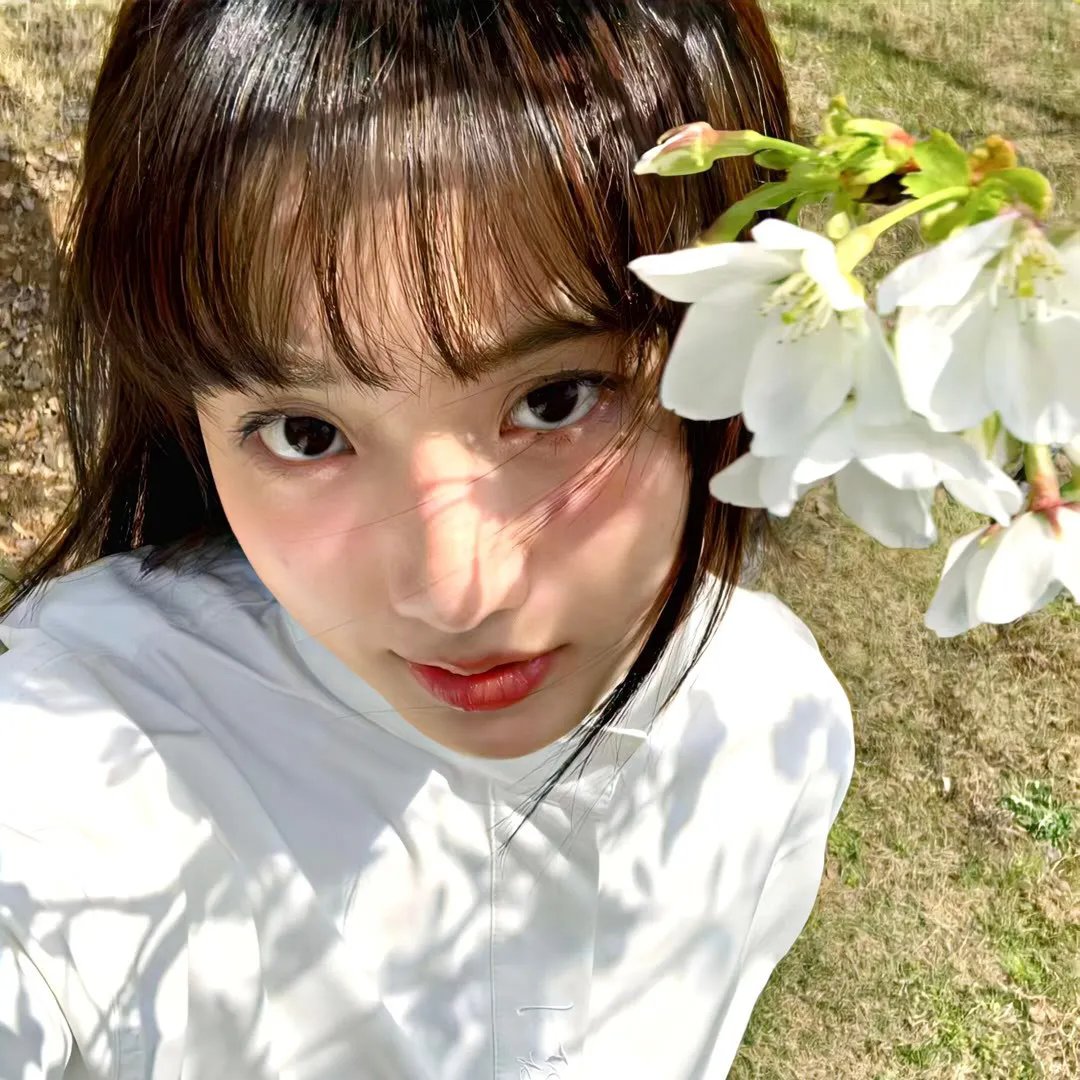 魔法圣女
